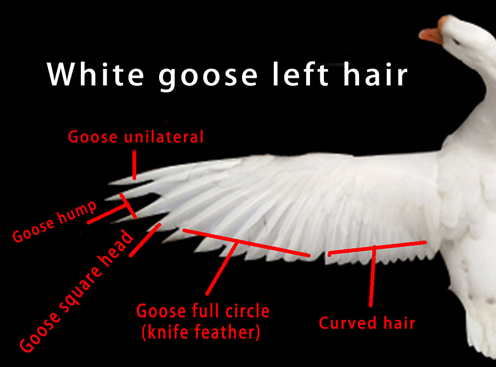 Title: How to Identify the Quality of Goose or Duck Feather Blankets