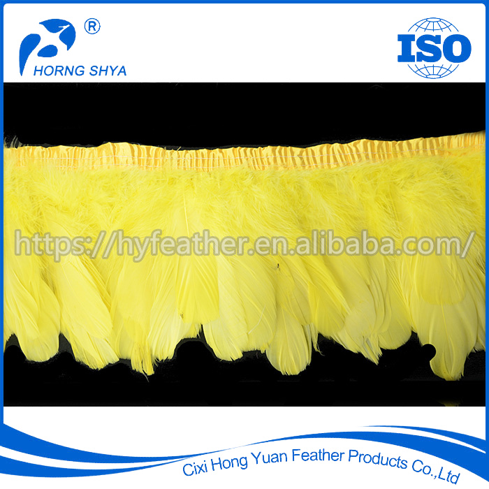 Title: Fuyang Duck Feather and Goose Feather Blanket Customization Factory