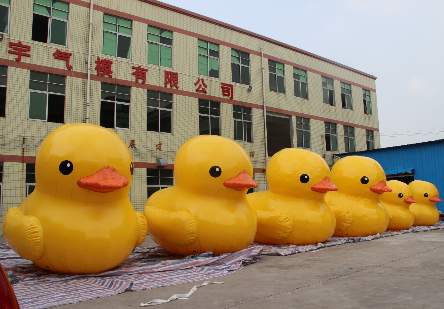 Title: Chongqing Duck Feather Comforter Refurbishment Factory