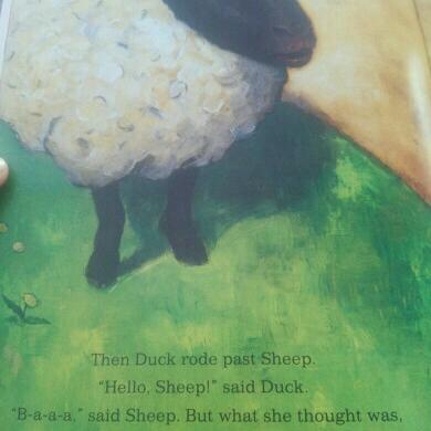 The Comfort of Sheep and Duck Down Blankets