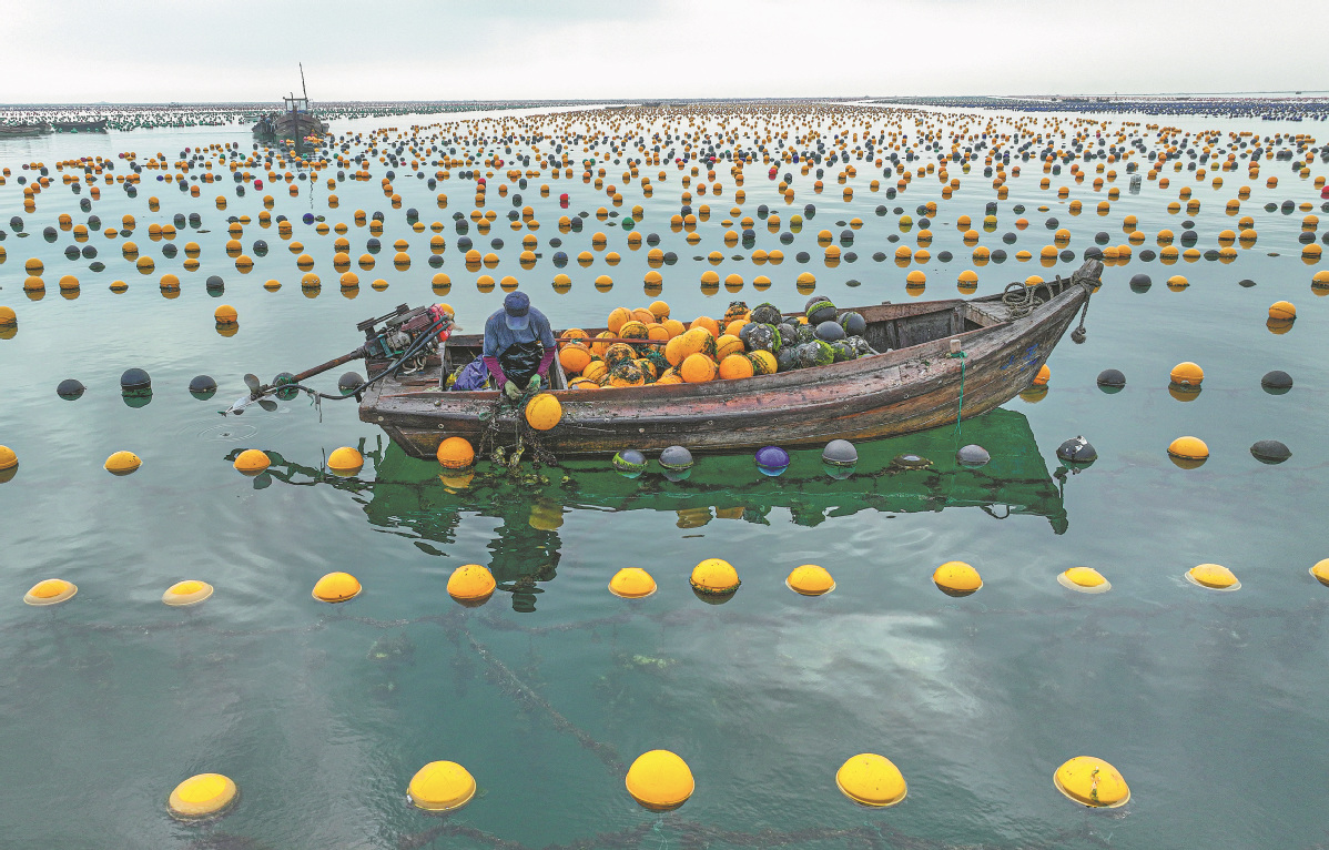 Title: The Unique Benefits of Using Duck Feather Blankets in Hainan