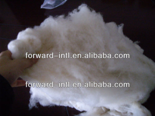 Title: The Comparison of Thermal Insulation between Duck Feather and Sheep Wool