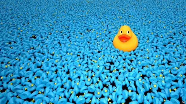 Title: Processing Duck Feather Blankets in Liaocheng