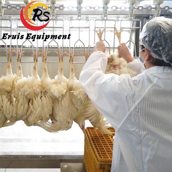 Title: Henan Xinyang Shangcheng Duck Feather Comforter Processing