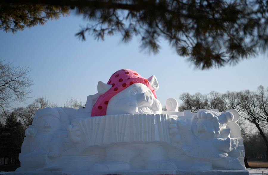 Title: Malls in Harbin Selling Duck Feather Comforters and Fabric