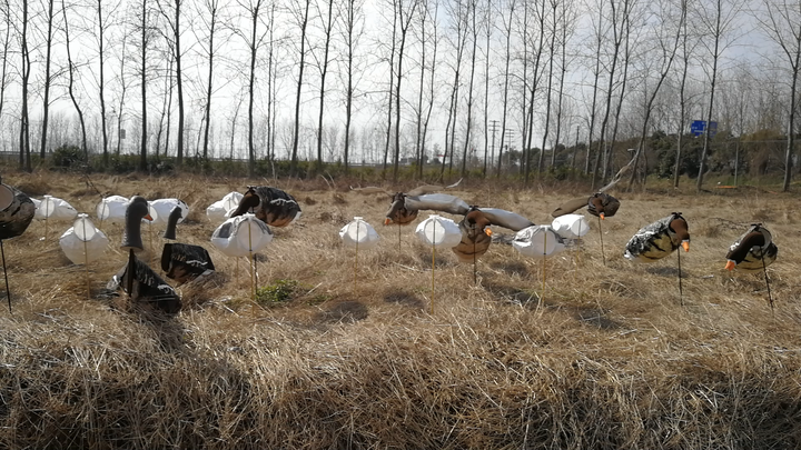 Title: The Challenges of Drying Goose Down Comforters