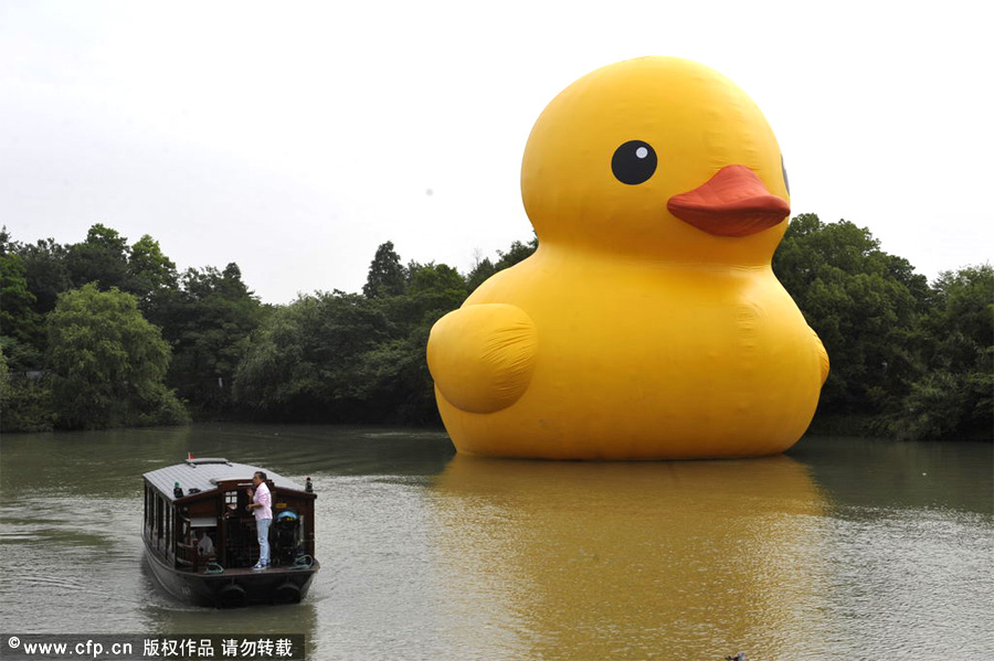 Title: The rise of Zhejiang’s duck-down blanket influencers