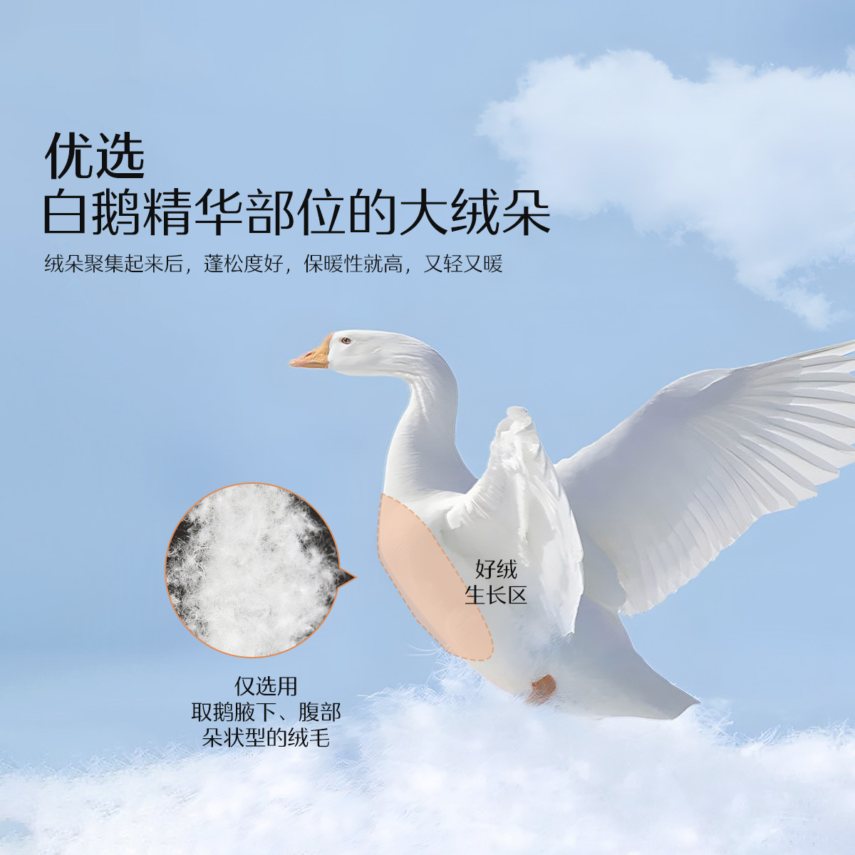 Title: The Best贵阳鸭绒被保养Service in Town