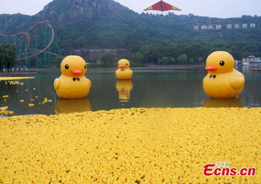 Title: Processing Duck Feather Blankets in Suzhou