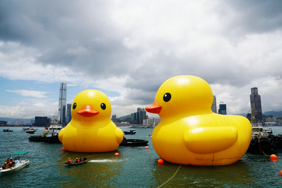 Title: Is It Hot in Shenzhen With a Duvet Made of Duck Feathers?