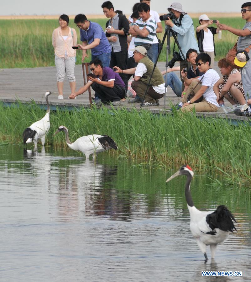 Title: The Best Place to Get Duck Feather Quilt in Rizhao