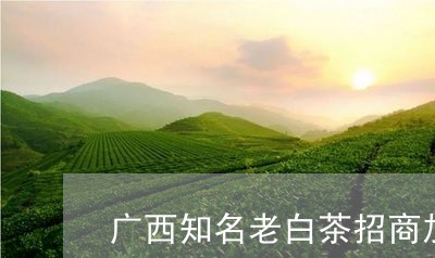 广西品牌茶叶加盟机会解析