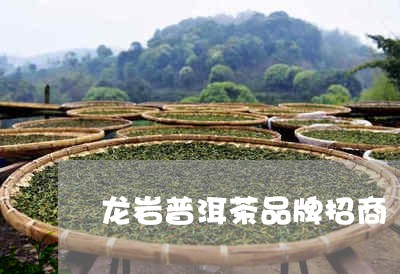 加盟龙岩品牌茶叶，探索与机遇