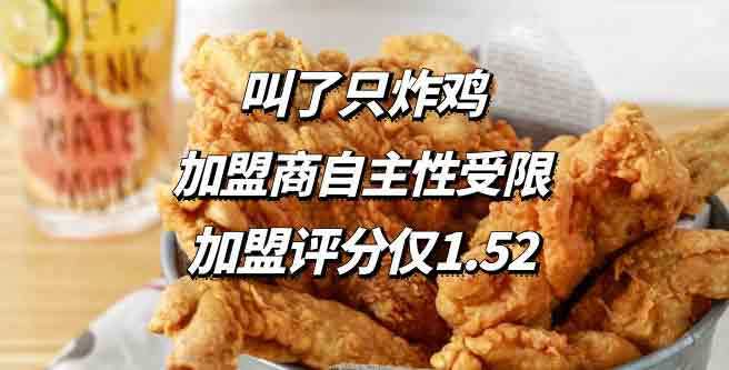 炸鸡加盟品牌店铺的多元化与特色分析